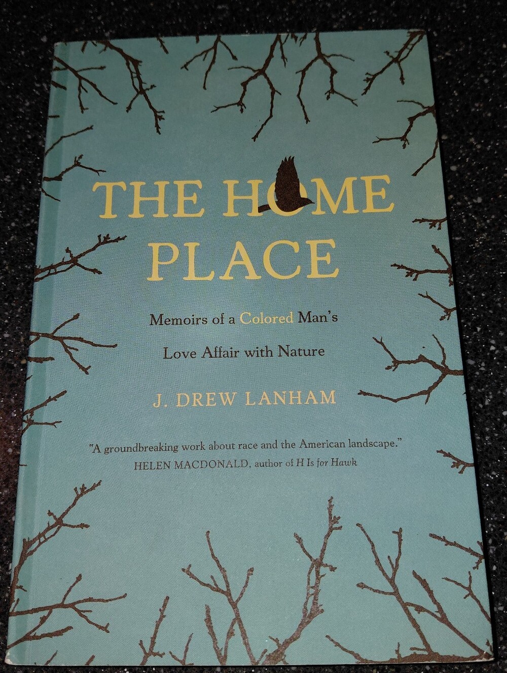 The Home Place by J. Drew Lanham - Teal Paperback